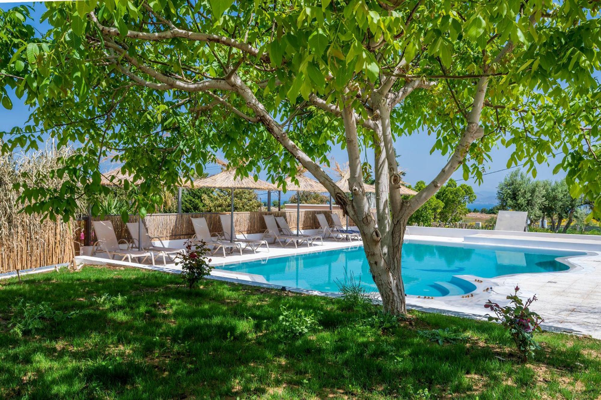 Homes Eva'S Garden, Poolside Cozy Havens In Kos Agios Dimitrios  Экстерьер фото