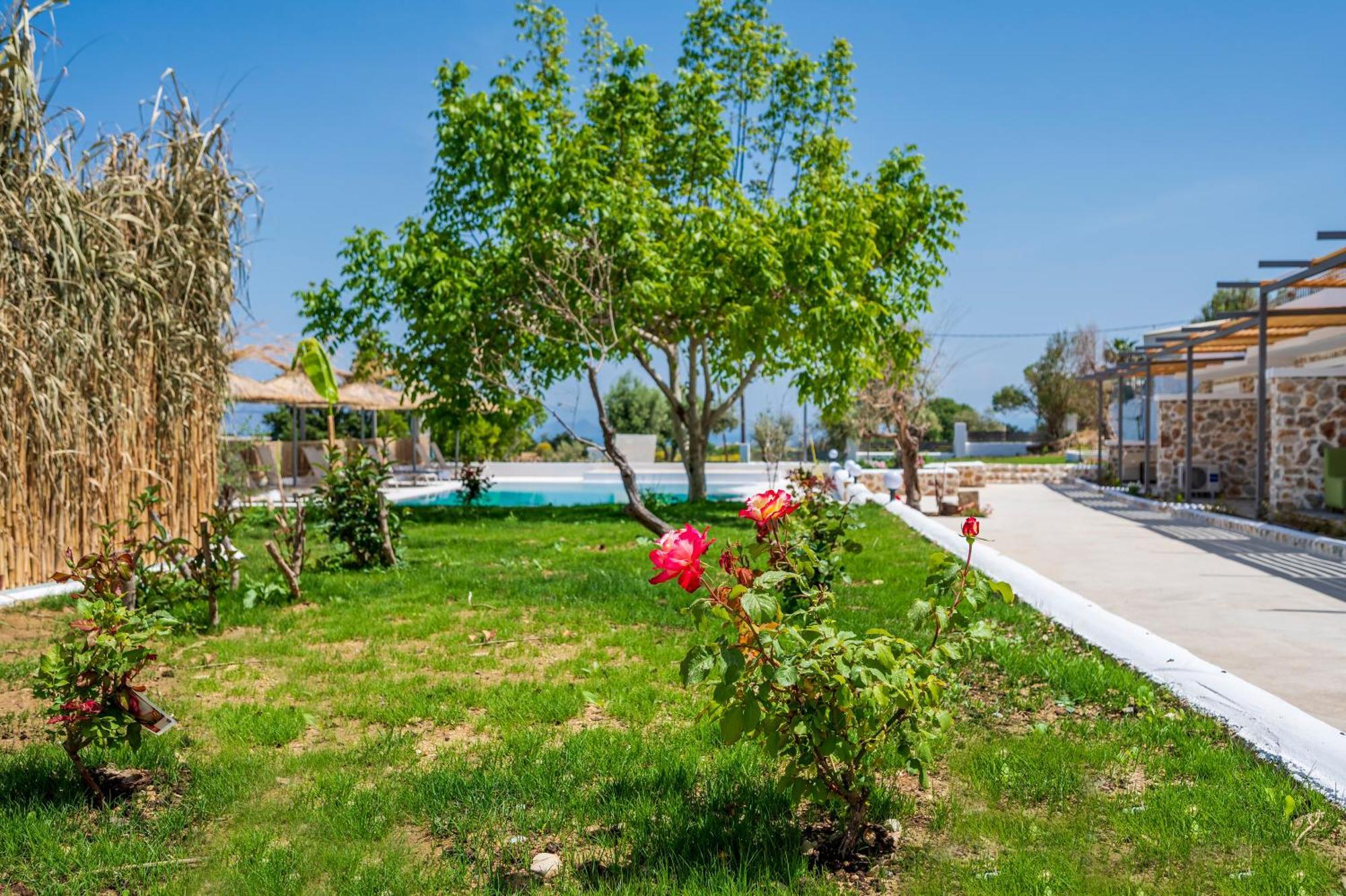 Homes Eva'S Garden, Poolside Cozy Havens In Kos Agios Dimitrios  Экстерьер фото